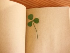 book21